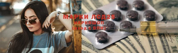 прущие грибы Арсеньев