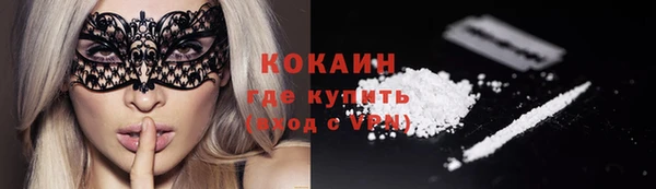 прущие грибы Арсеньев