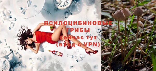 бутират Аркадак